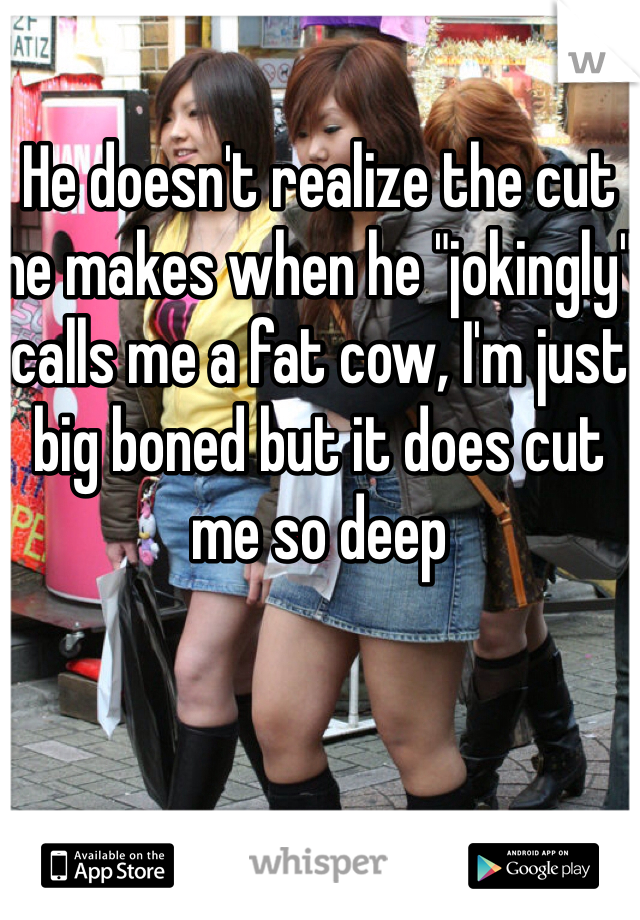 He doesn't realize the cut he makes when he "jokingly" calls me a fat cow, I'm just big boned but it does cut me so deep