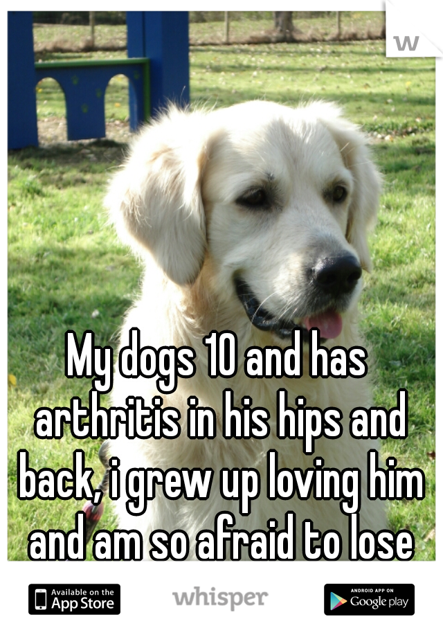 My dogs 10 and has arthritis in his hips and back, i grew up loving him and am so afraid to lose him :( 