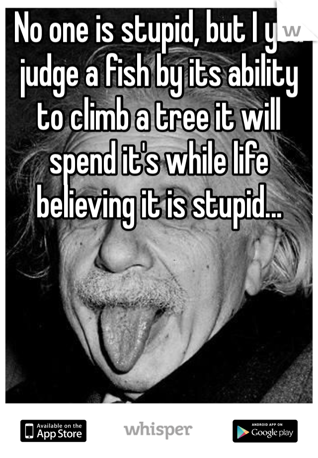 No one is stupid, but I you judge a fish by its ability to climb a tree it will spend it's while life believing it is stupid...