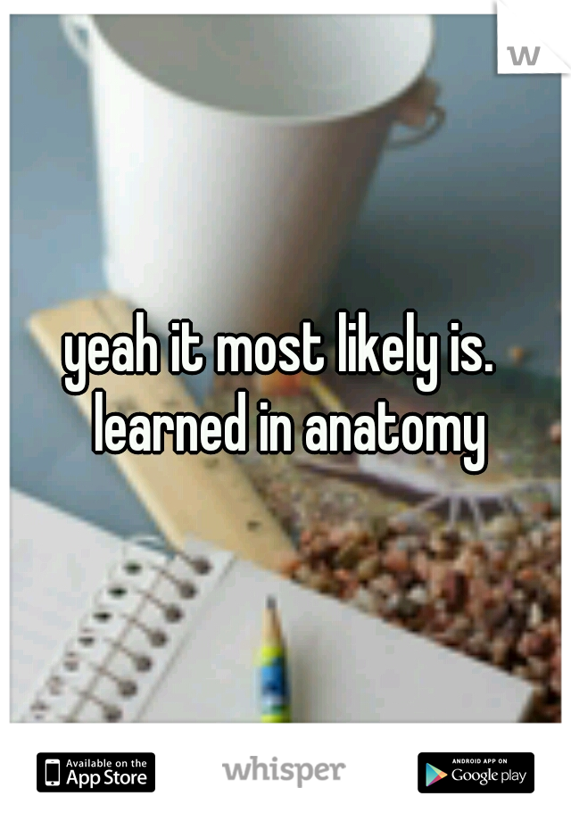 yeah it most likely is.  learned in anatomy