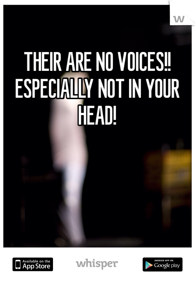 THEIR ARE NO VOICES!! ESPECIALLY NOT IN YOUR HEAD!