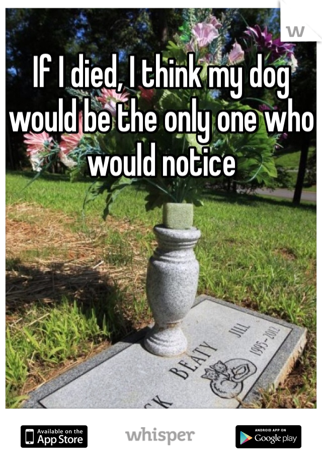 If I died, I think my dog would be the only one who would notice