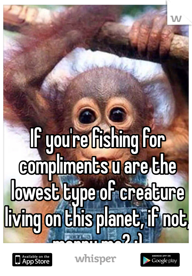 If you're fishing for compliments u are the lowest type of creature living on this planet, if not, marry me? :) 