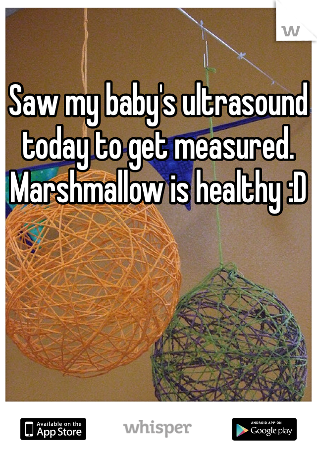 Saw my baby's ultrasound today to get measured. Marshmallow is healthy :D