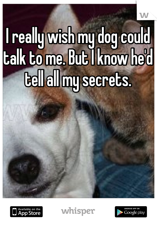 I really wish my dog could talk to me. But I know he'd tell all my secrets. 