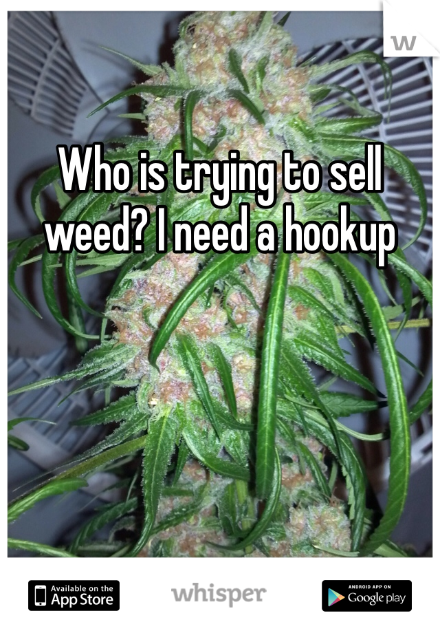 Who is trying to sell weed? I need a hookup