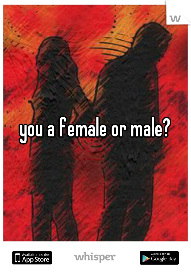 you a female or male?