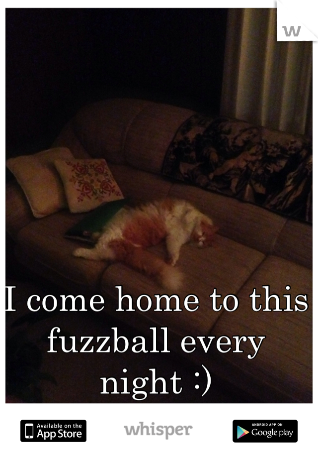 I come home to this fuzzball every night :)