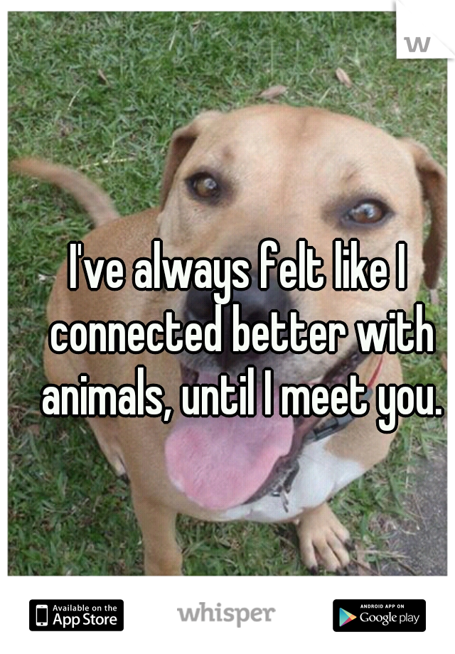 I've always felt like I connected better with animals, until I meet you.