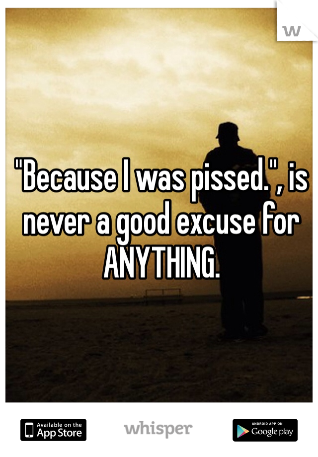 "Because I was pissed.", is never a good excuse for ANYTHING.