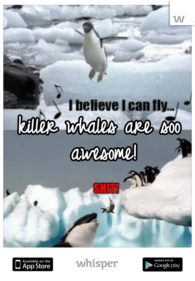 killer whales are soo awesome!