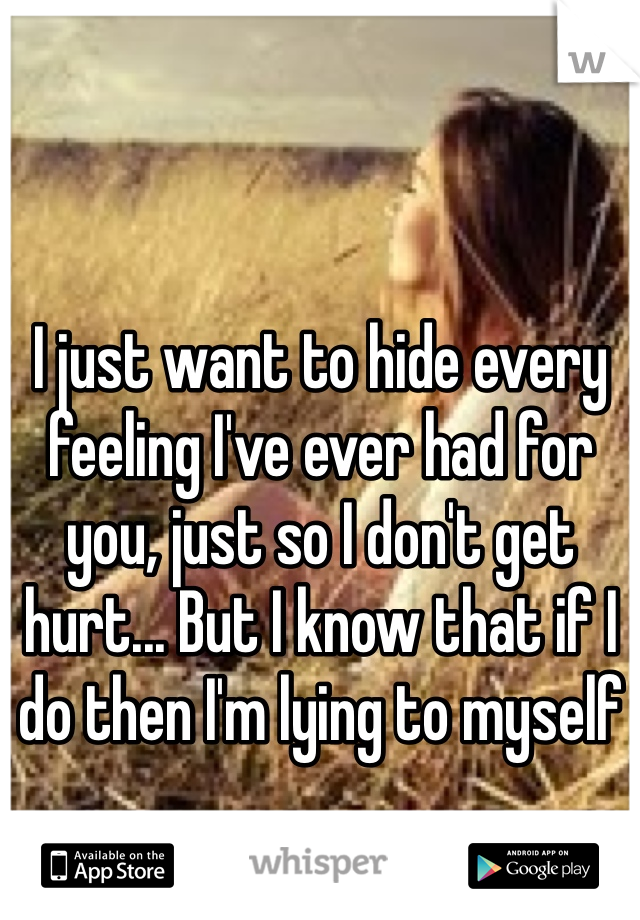 I just want to hide every feeling I've ever had for you, just so I don't get hurt... But I know that if I do then I'm lying to myself 