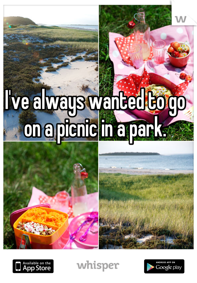 I've always wanted to go on a picnic in a park.