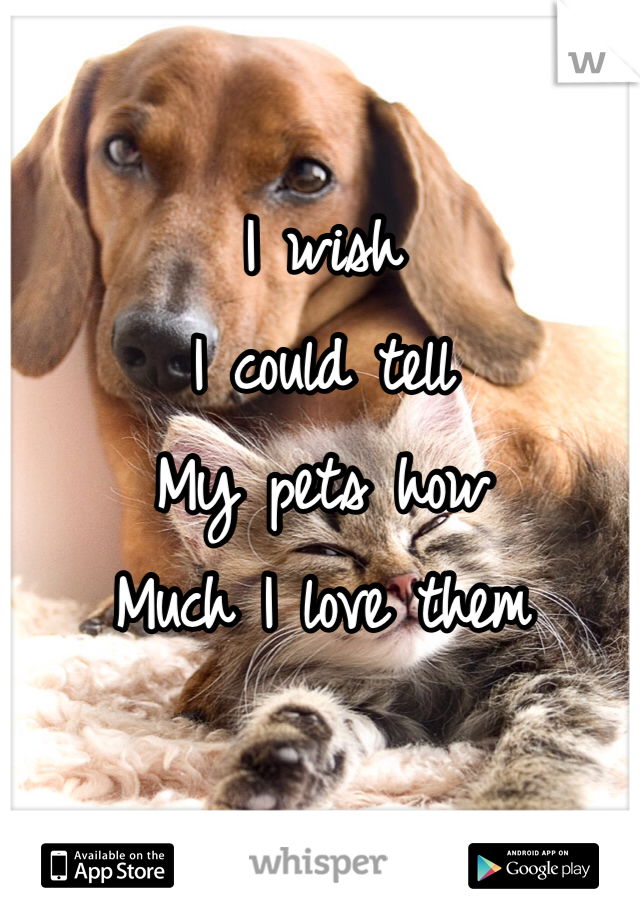 I wish
I could tell 
My pets how 
Much I love them