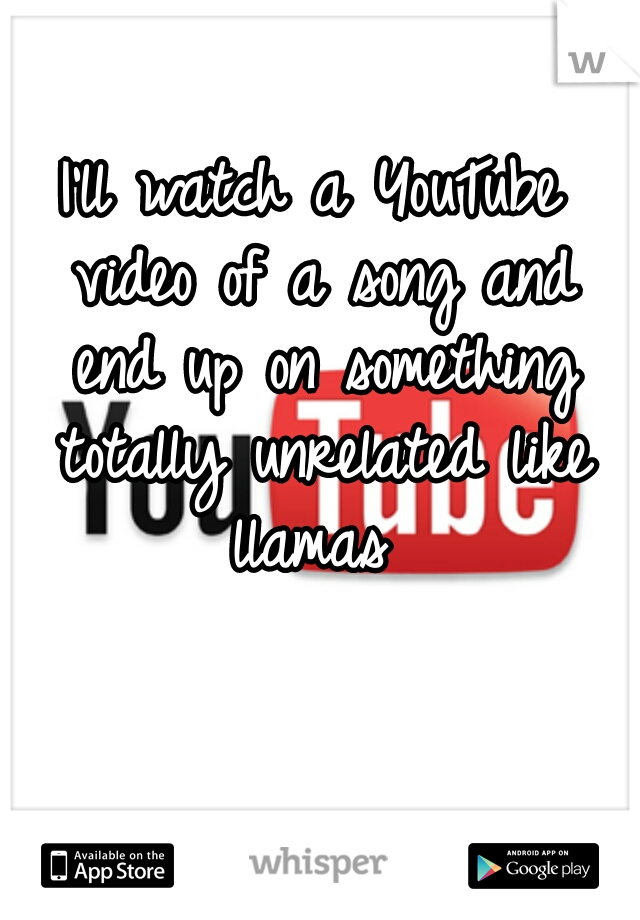 I'll watch a YouTube video of a song and end up on something totally unrelated like llamas 