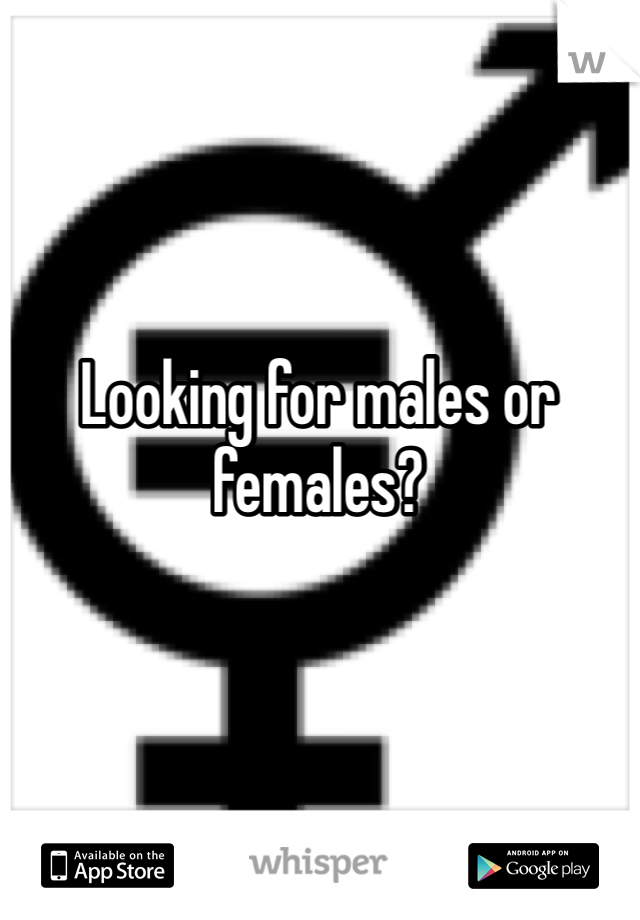 Looking for males or females?