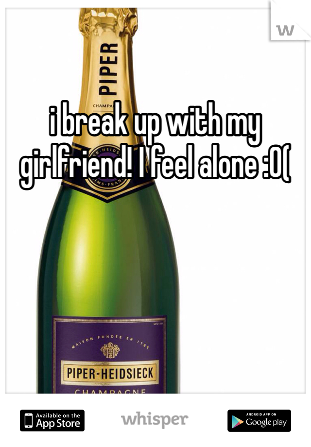 i break up with my girlfriend! I feel alone :0(