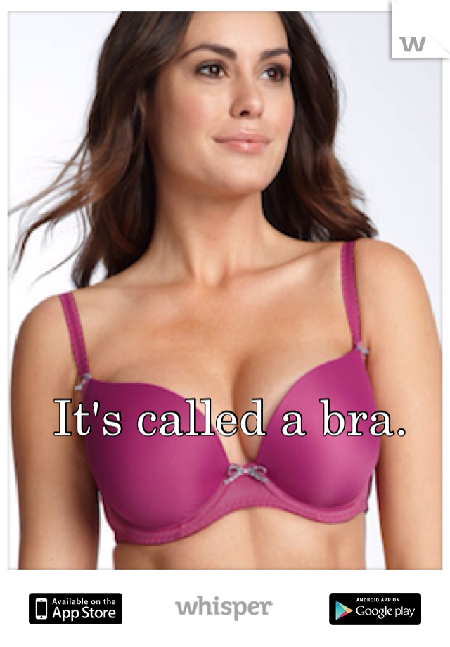 It's called a bra. 