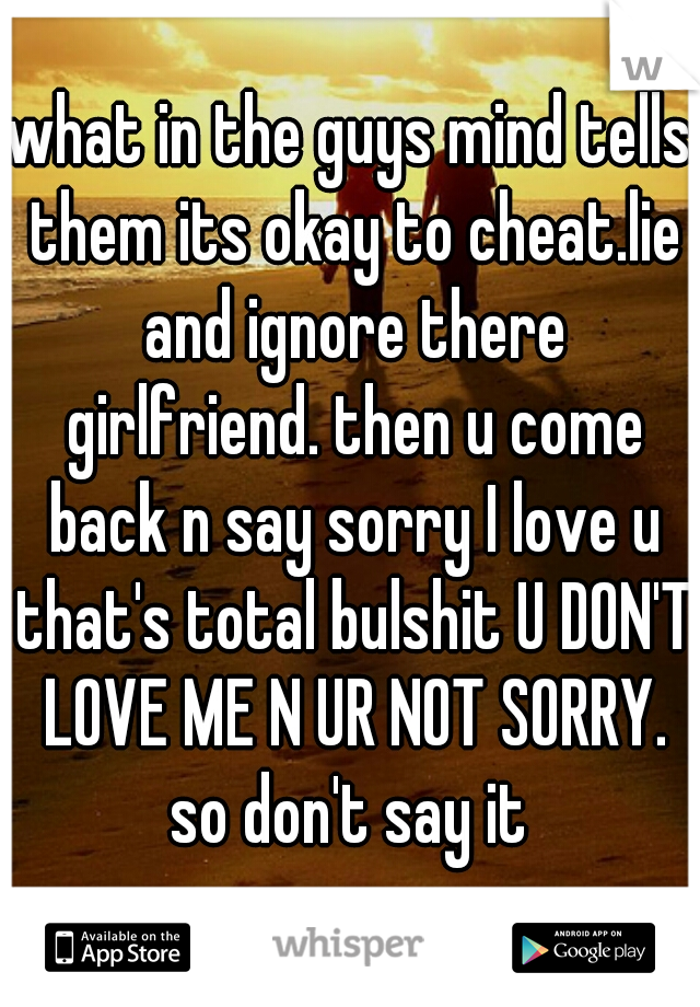 what in the guys mind tells them its okay to cheat.lie and ignore there girlfriend. then u come back n say sorry I love u that's total bulshit U DON'T LOVE ME N UR NOT SORRY. so don't say it 