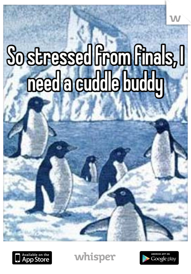 So stressed from finals, I need a cuddle buddy