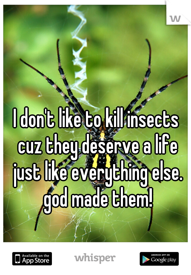 I don't like to kill insects cuz they deserve a life just like everything else. god made them!
