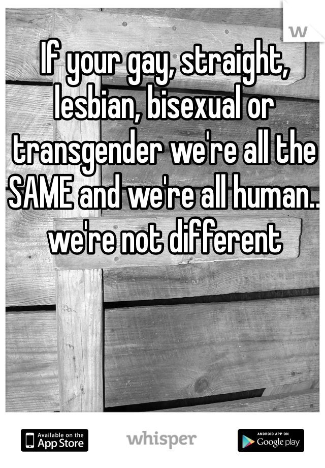 If your gay, straight, lesbian, bisexual or transgender we're all the SAME and we're all human.. we're not different 