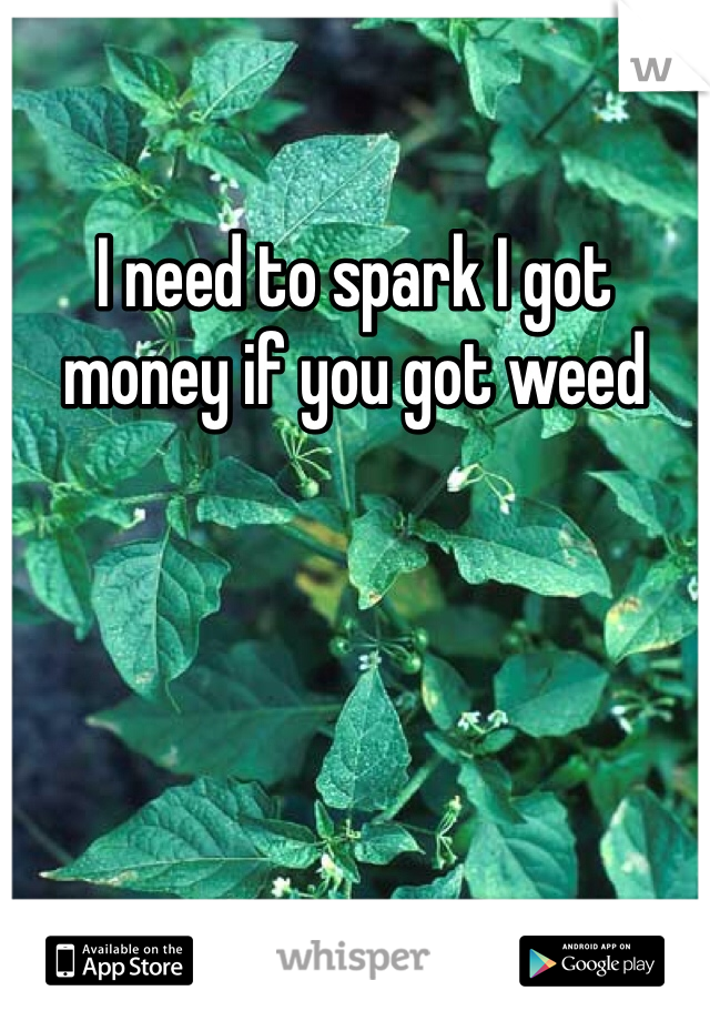 I need to spark I got money if you got weed