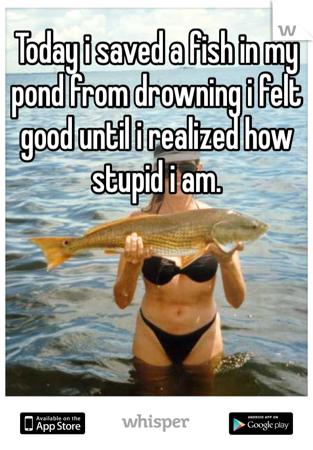 Today i saved a fish in my pond from drowning i felt good until i realized how stupid i am.