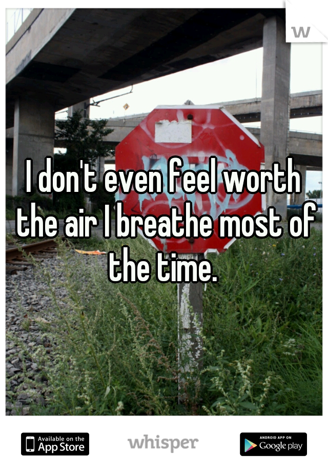 I don't even feel worth the air I breathe most of the time. 