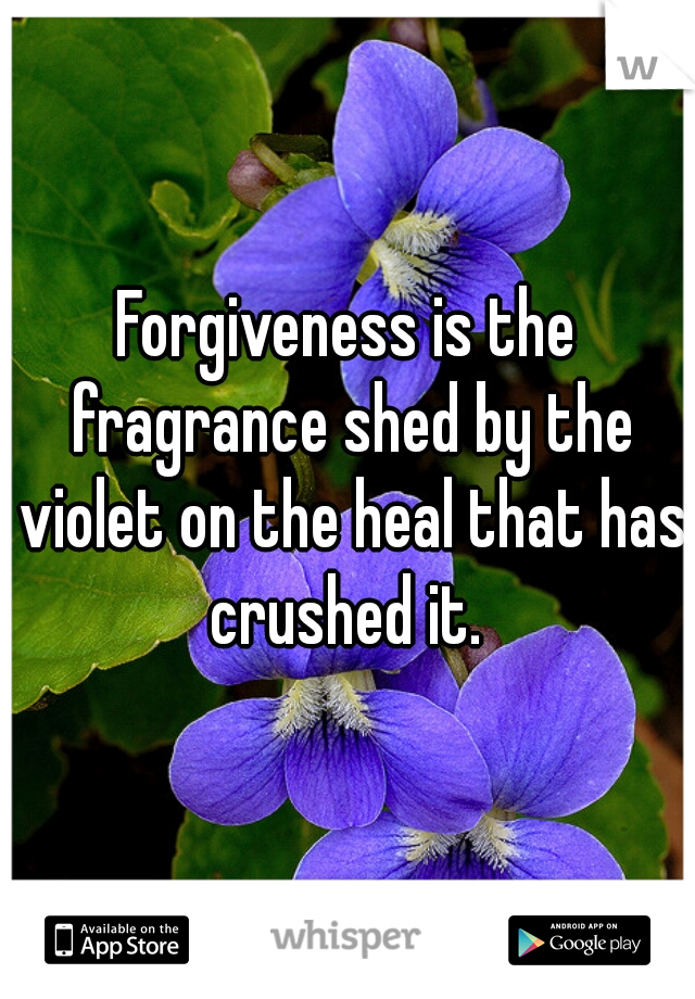 Forgiveness is the fragrance shed by the violet on the heal that has crushed it. 