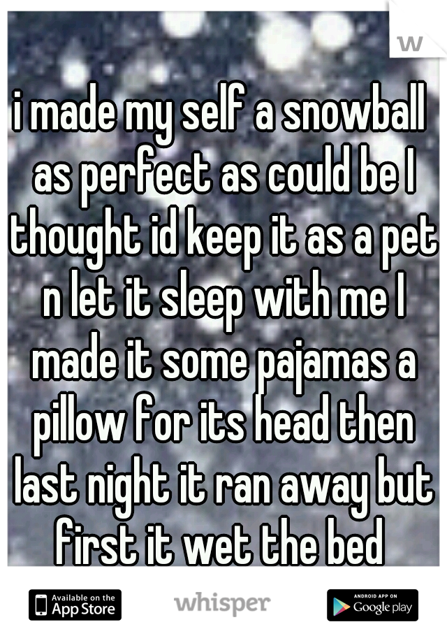 i made my self a snowball as perfect as could be I thought id keep it as a pet n let it sleep with me I made it some pajamas a pillow for its head then last night it ran away but first it wet the bed 