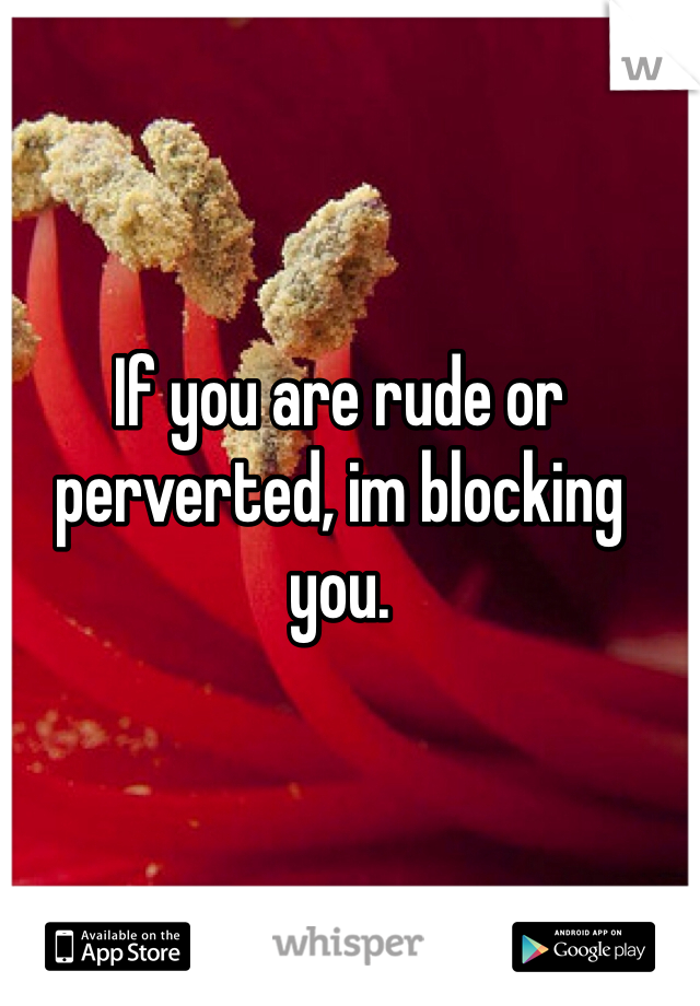 If you are rude or perverted, im blocking you. 