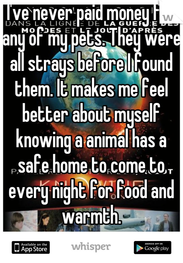 I've never paid money for any of my pets. They were all strays before I found them. It makes me feel better about myself knowing a animal has a safe home to come to every night for food and warmth.