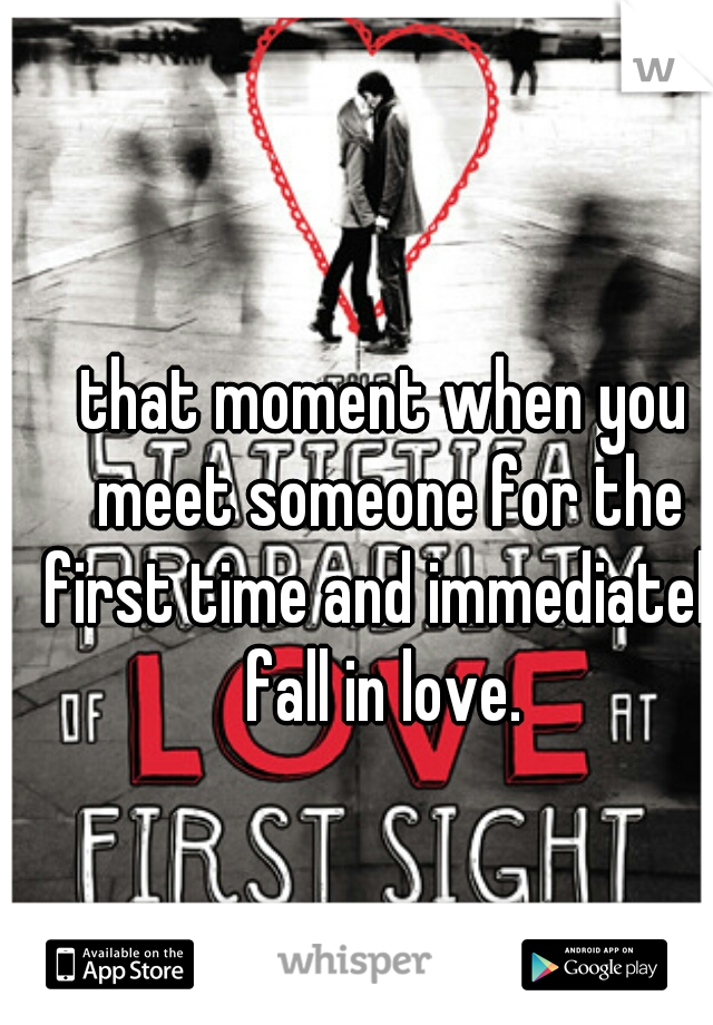that moment when you meet someone for the first time and immediately fall in love. 