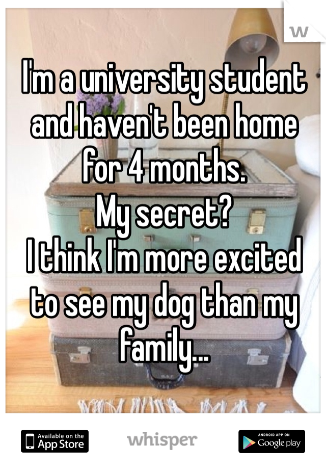 I'm a university student and haven't been home 
for 4 months.  
My secret?
I think I'm more excited 
to see my dog than my family...