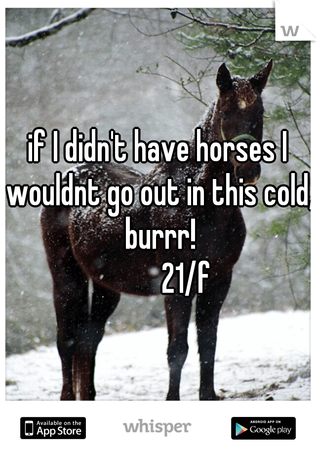 if I didn't have horses I wouldnt go out in this cold, burrr!
          21/f 