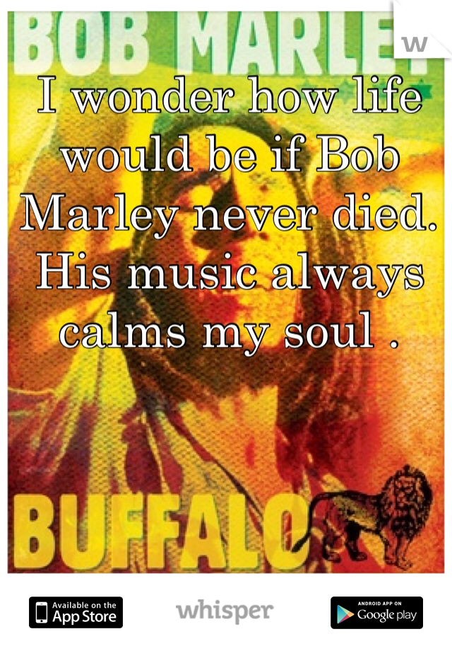 I wonder how life would be if Bob Marley never died. His music always calms my soul . 