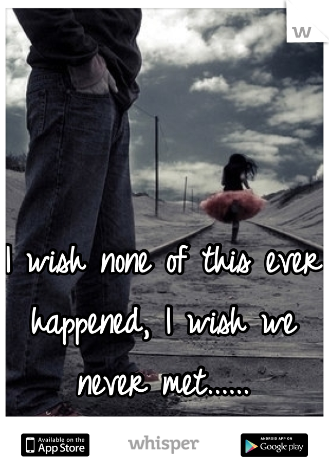 I wish none of this ever happened, I wish we never met......