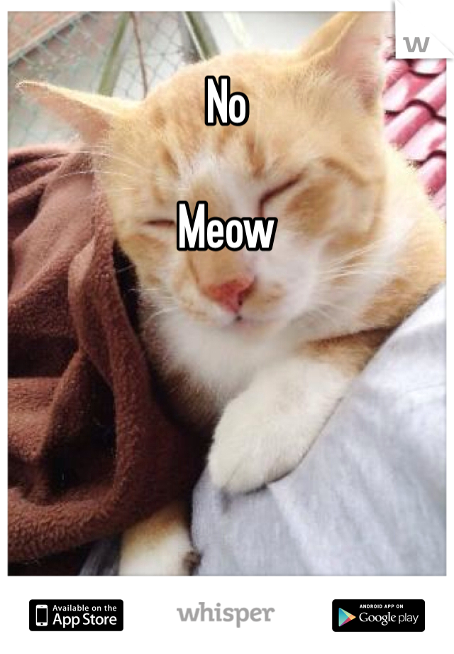 No

Meow