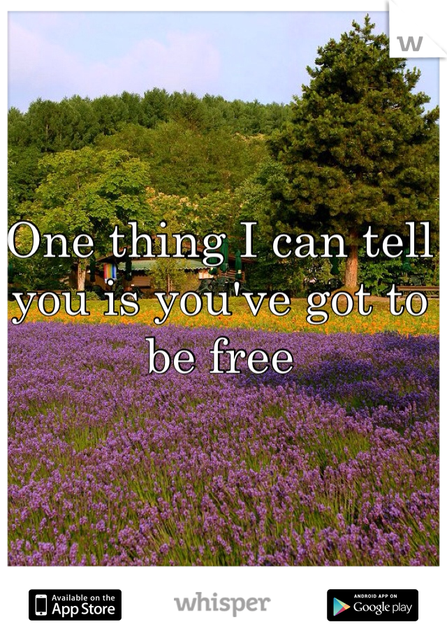 One thing I can tell you is you've got to be free