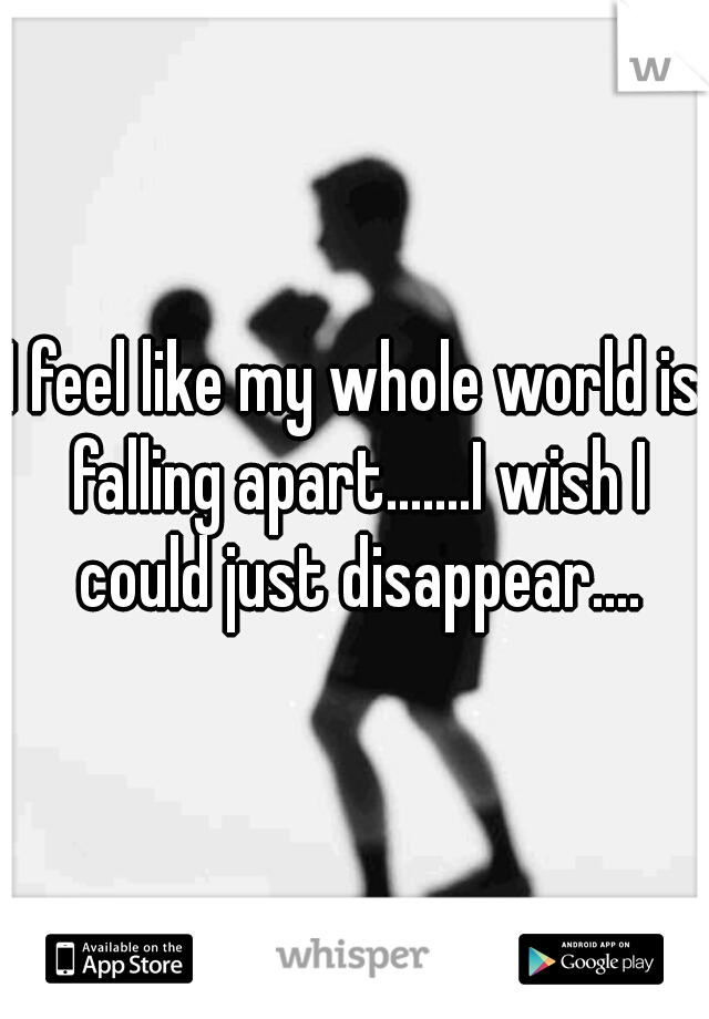 I feel like my whole world is falling apart.......I wish I could just disappear....