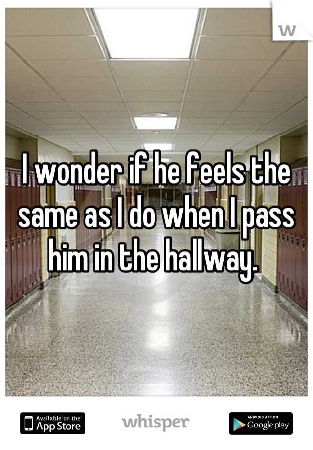 I wonder if he feels the same as I do when I pass him in the hallway. 