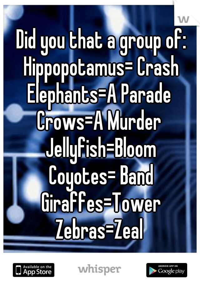 Did you that a group of:
Hippopotamus= Crash
Elephants=A Parade 
Crows=A Murder 
Jellyfish=Bloom
Coyotes= Band
Giraffes=Tower
Zebras=Zeal 