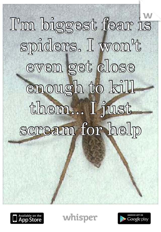 I'm biggest fear is spiders. I won't even get close enough to kill them... I just scream for help