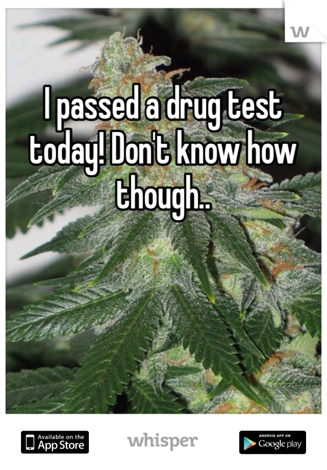 I passed a drug test today! Don't know how though..