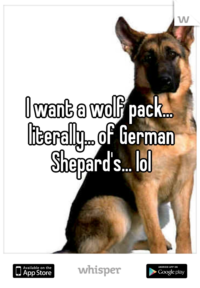 I want a wolf pack... literally... of German Shepard's... lol