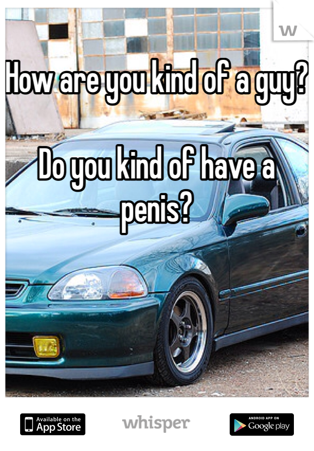 How are you kind of a guy?

Do you kind of have a penis?