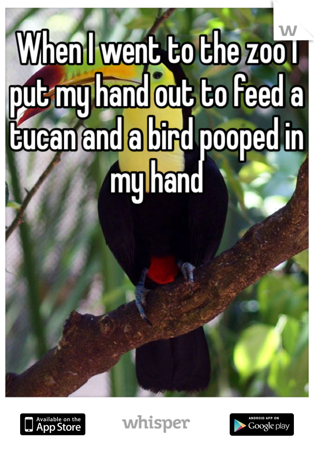 When I went to the zoo I put my hand out to feed a tucan and a bird pooped in my hand 