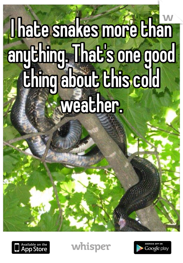 I hate snakes more than anything. That's one good thing about this cold weather. 