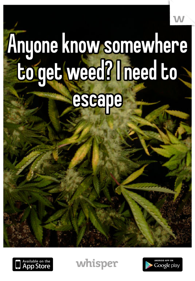 Anyone know somewhere to get weed? I need to escape